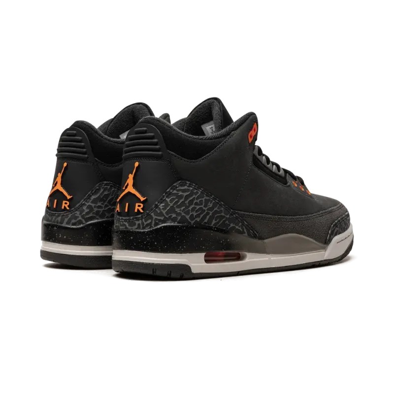 Jordan Air Jordan 3 Fear (2023) Mens