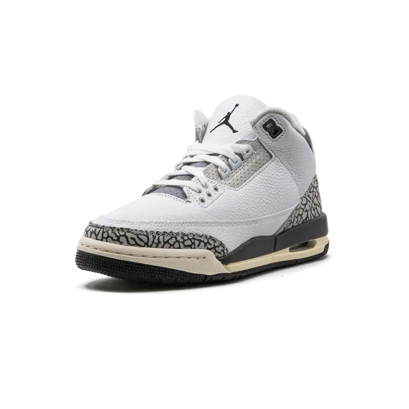 Jordan Air Jordan 3 GS Hide N Sneak Grade School