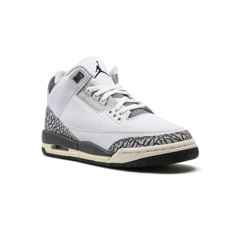 Jordan Air Jordan 3 GS Hide N Sneak Grade School