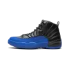 Jordan Air Jordan 12 Royal Mens