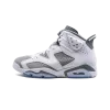 Jordan Air Jordan 6 Cool Grey Mens