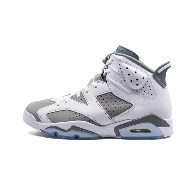 Jordan Air Jordan 6 Cool Grey Mens