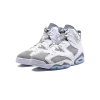 Jordan Air Jordan 6 Cool Grey Mens