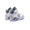 Jordan Air Jordan 6 Cool Grey Mens