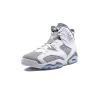 Jordan Air Jordan 6 Cool Grey Mens