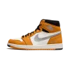 Jordan Air Jordan 1 Element GORE-TEX Light Curry Mens