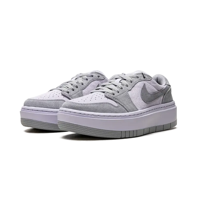 Jordan AIR JORDAN 1 ELEVATE LO WMNS Stealth / Titanium Womens