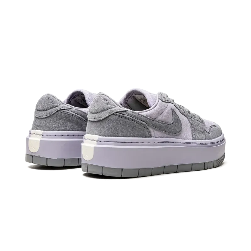 Jordan AIR JORDAN 1 ELEVATE LO WMNS Stealth / Titanium Womens