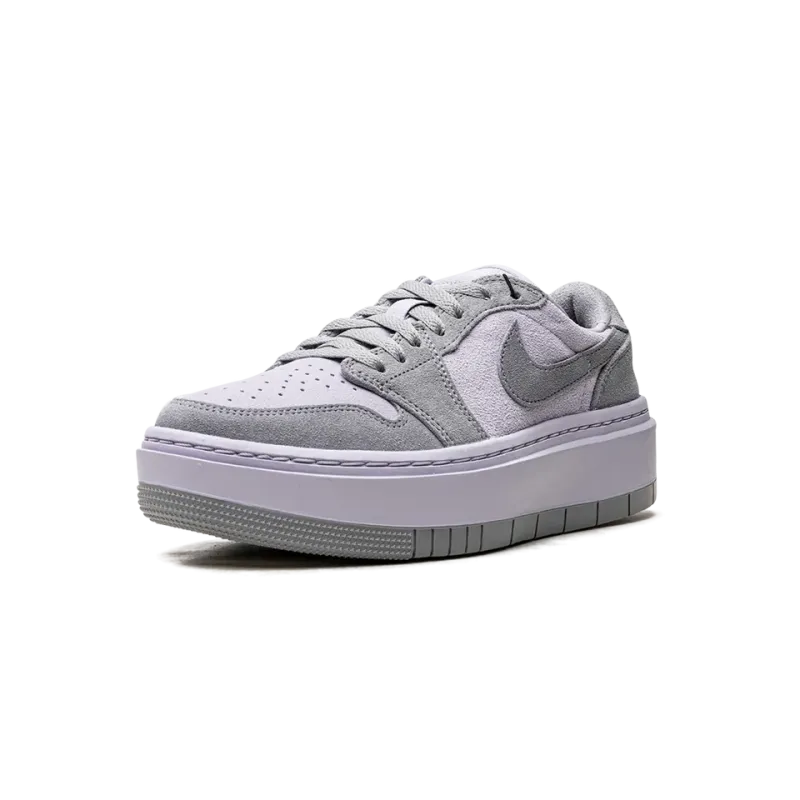 Jordan AIR JORDAN 1 ELEVATE LO WMNS Stealth / Titanium Womens