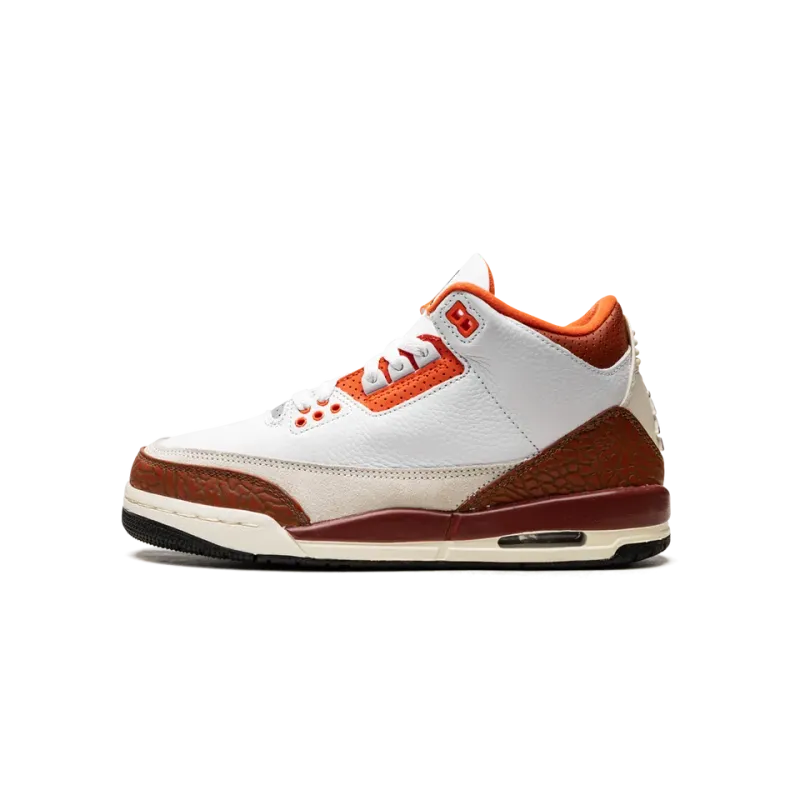 Jordan Air Jordan 3 GS Dunk On Mars Grade School