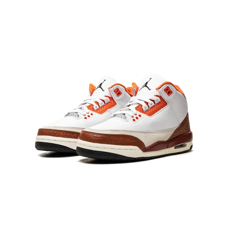 Jordan Air Jordan 3 GS Dunk On Mars Grade School