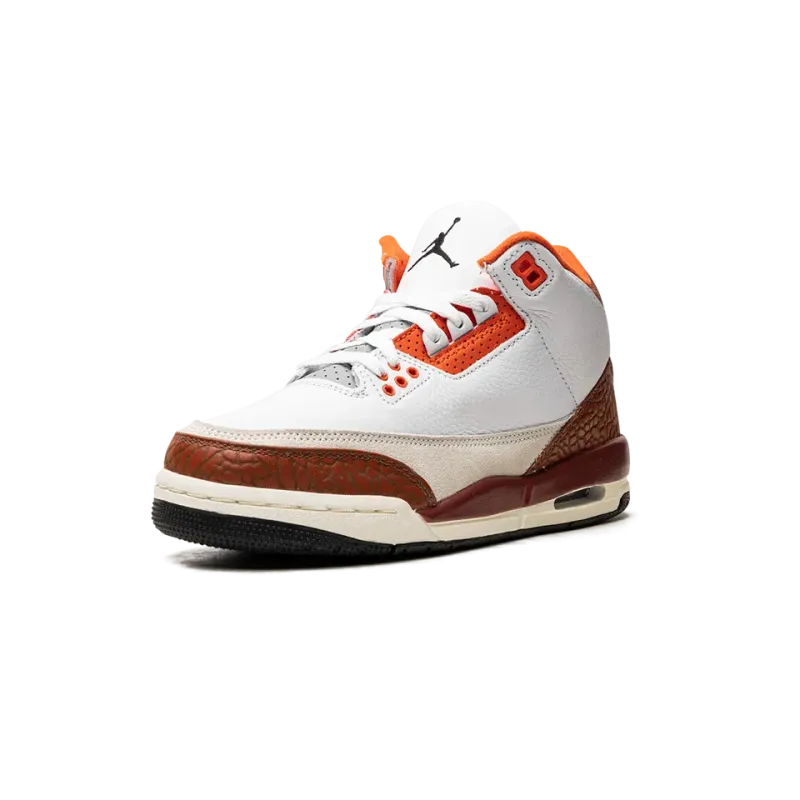 Jordan Air Jordan 3 GS Dunk On Mars Grade School