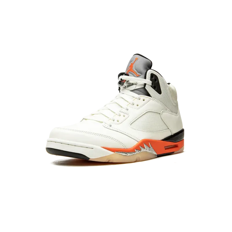 Jordan Air Jordan 5 Retro Shattered Backboard Mens