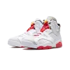 Jordan Air Jordan 6 Retro Hare Mens