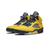 Jordan Air Jordan 5 Retro SE Michigan Mens