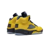 Jordan Air Jordan 5 Retro SE Michigan Mens