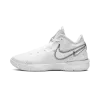 Nike Zoom Lebron NXXT Gen White / Metallic Silver Mens