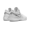 Nike Zoom Lebron NXXT Gen White / Metallic Silver Mens