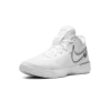 Nike Zoom Lebron NXXT Gen White / Metallic Silver Mens