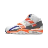 Air Trainer SC High Auburn Unisex