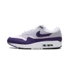 Nike Air Max 1 SC Field Purple Mens