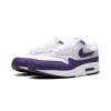Nike Air Max 1 SC Field Purple Mens