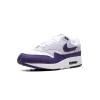 Nike Air Max 1 SC Field Purple Mens
