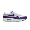 Nike Air Max 1 SC Field Purple Mens