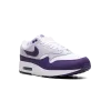 Nike Air Max 1 SC Field Purple Mens