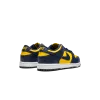 Nike Dunk Low PS Michigan Pre School