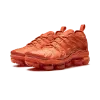 Nike AIR VAPORMAX PLUS WMNS Womens