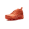 Nike AIR VAPORMAX PLUS WMNS Womens