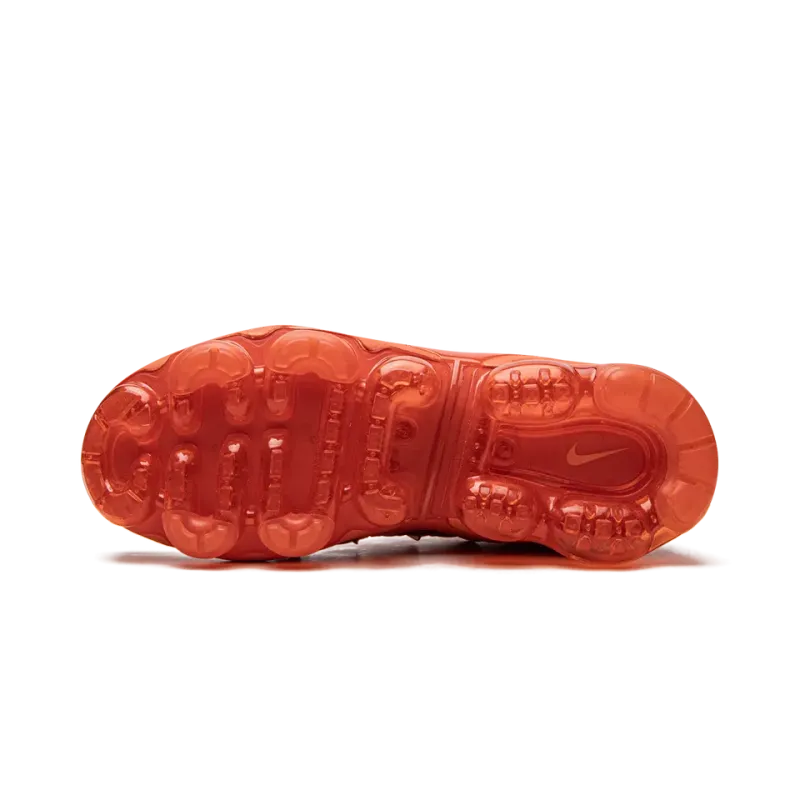 Nike AIR VAPORMAX PLUS WMNS Womens