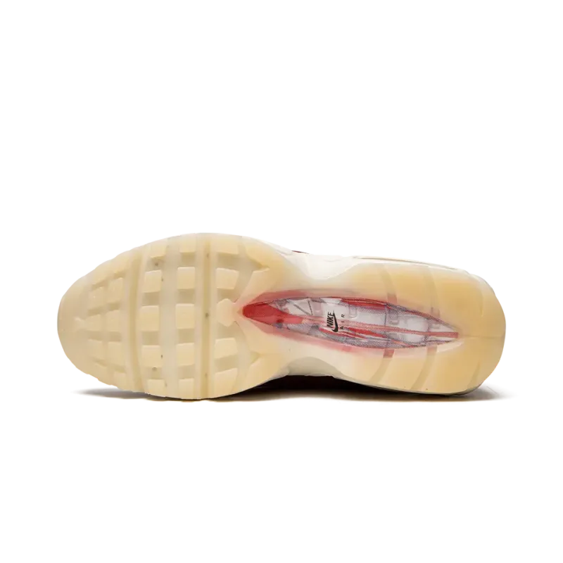 Nike Air Max 95 QS Anatomy of Air Mens