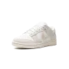 Nike DUNK LOW WMNS Ridescent Swoosh Womens