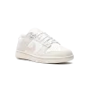Nike DUNK LOW WMNS Ridescent Swoosh Womens