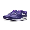 Nike Air Max 1 '87 SP Supreme Varsity Purple Mens