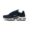 Nike Air Max Plus FFF Mens