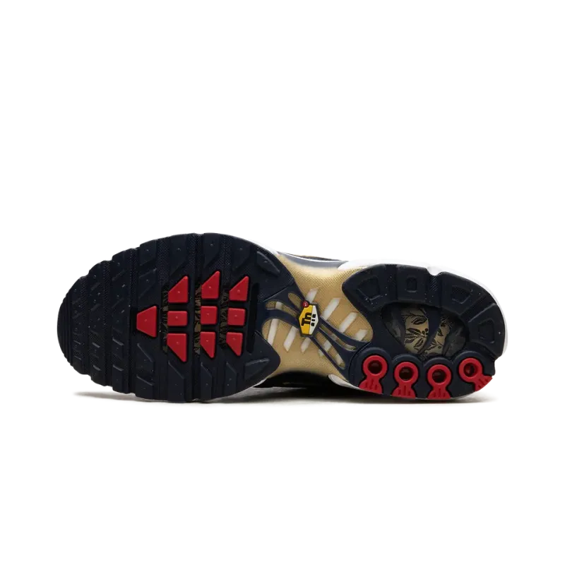 Nike Air Max Plus FFF Mens