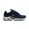 Nike Air Max Plus FFF Mens