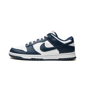 Nike Dunk Low Retro USA Mens