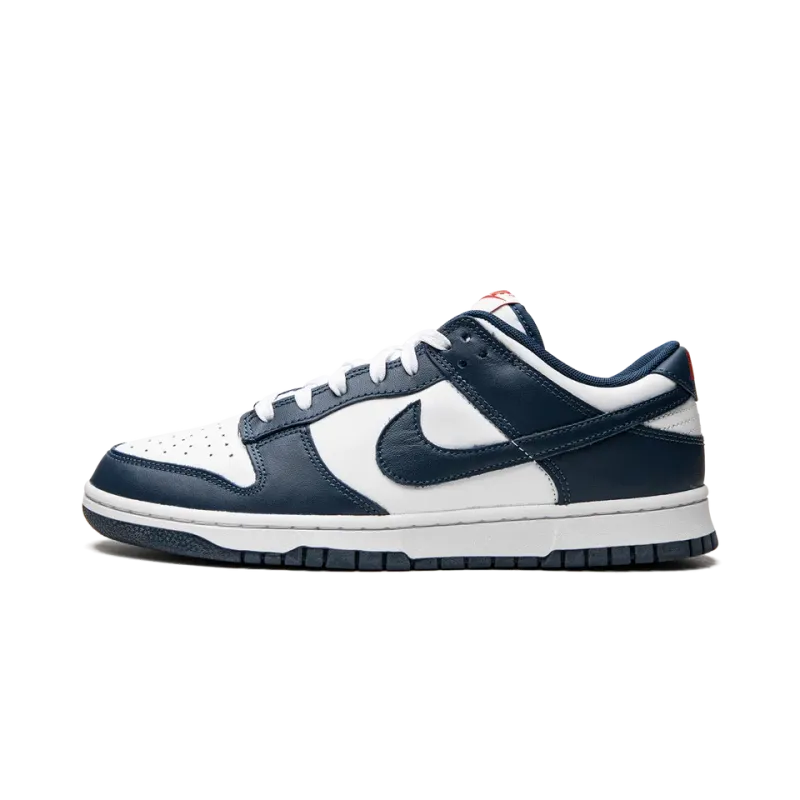 Nike Dunk Low Retro USA Mens