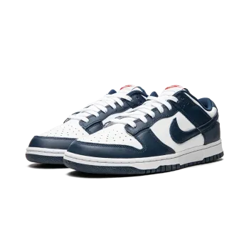 Nike Dunk Low Retro USA Mens