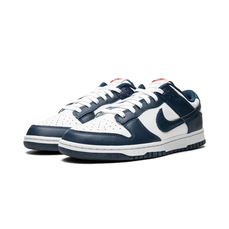 Nike Dunk Low Retro USA Mens