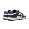 Nike Dunk Low Retro USA Mens