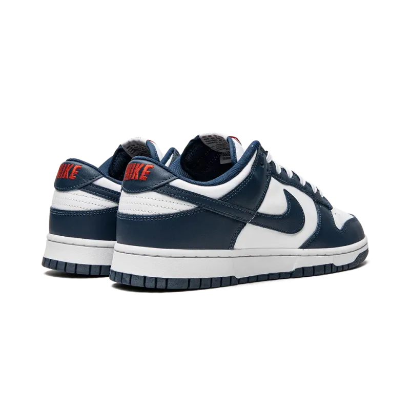 Nike Dunk Low Retro USA Mens