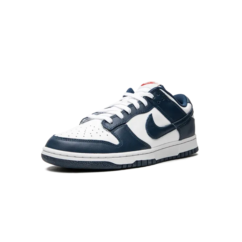 Nike Dunk Low Retro USA Mens