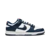 Nike Dunk Low Retro USA Mens