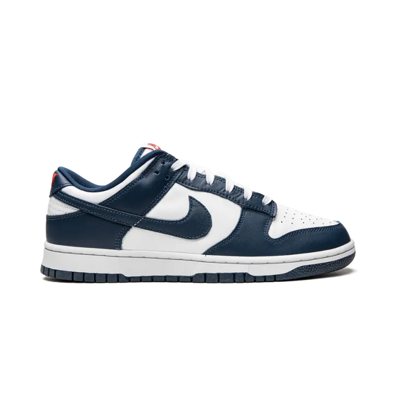 Nike Dunk Low Retro USA Mens