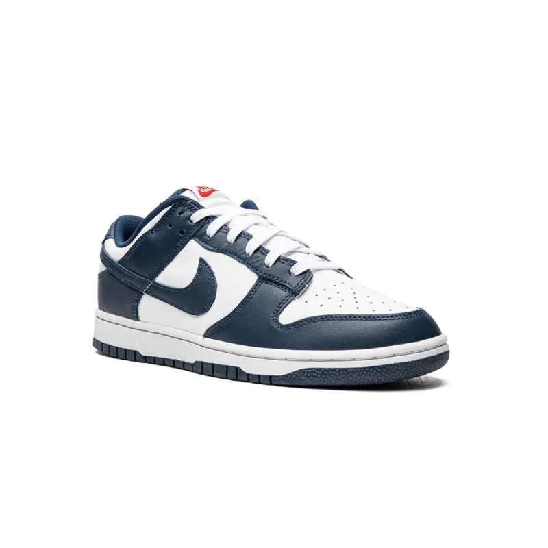 Nike Dunk Low Retro USA Mens